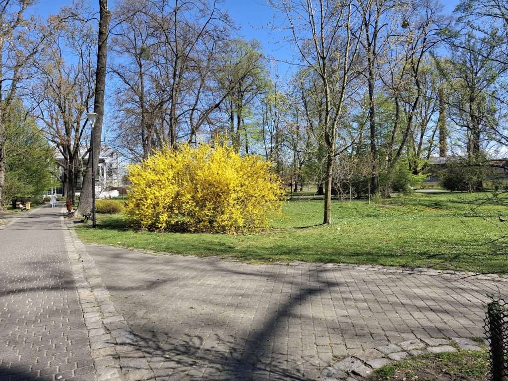 Park Chopina w Gliwicach