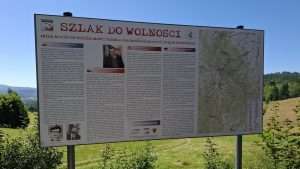 Borówkowa w Sudetach
